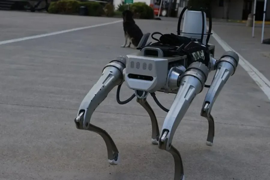 Türkiye’nin Yerli Robot Köpeği “PROTEO” Göreve Hazırlanıyor