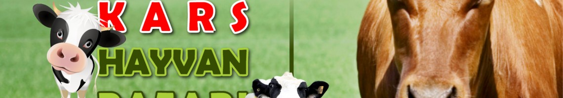 Kars Hızır Hayvancılık